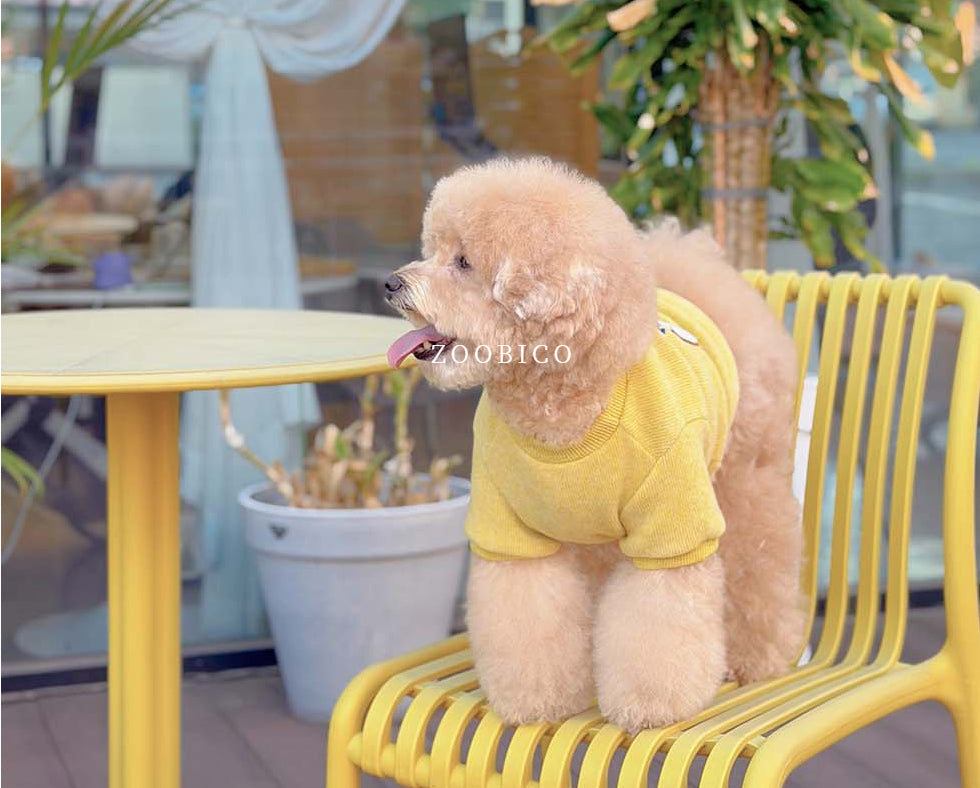Mallow Puppy Embroidered Sweatshirt (2 colors)