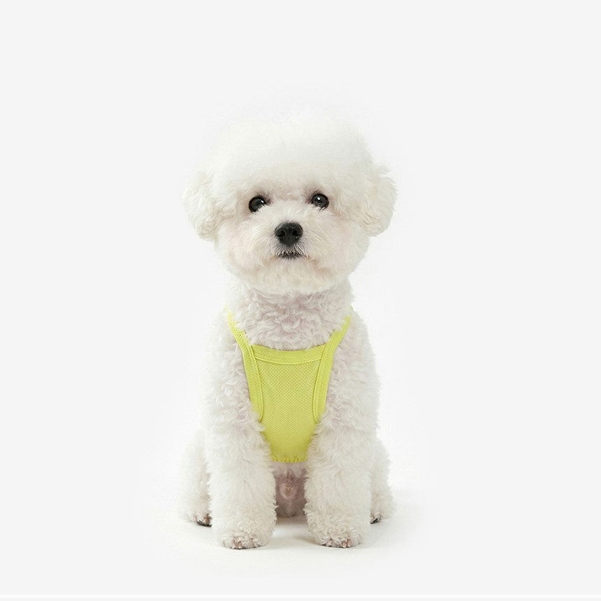 Cool Top (Lemon)