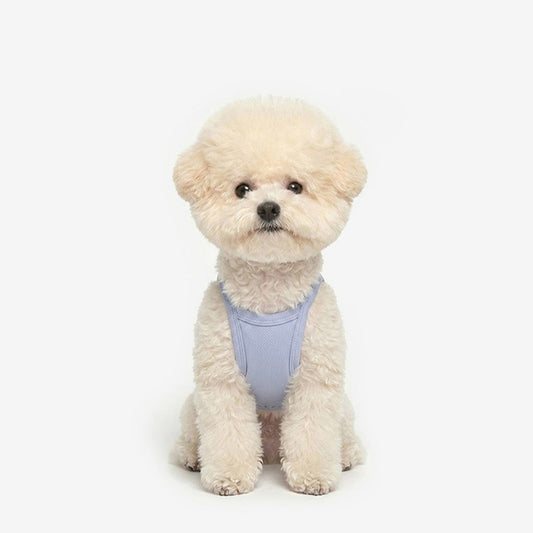 Cool Top (Powder Blue)
