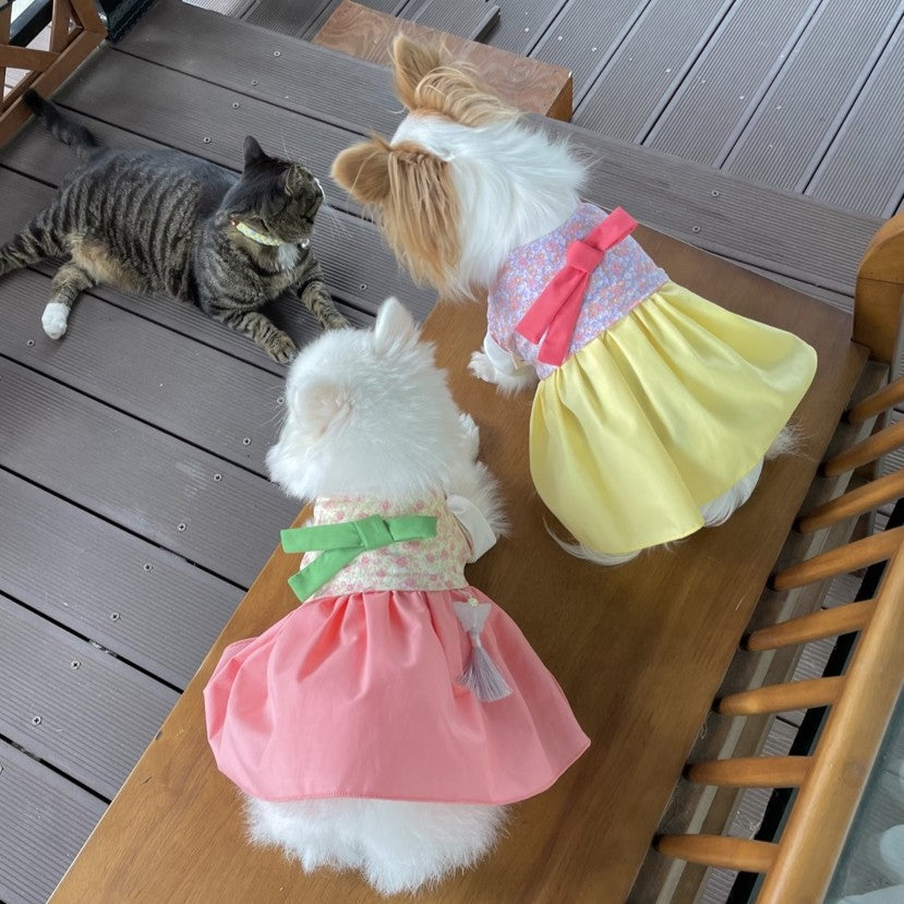 Little Lady Hanbok Dress (2 colors)