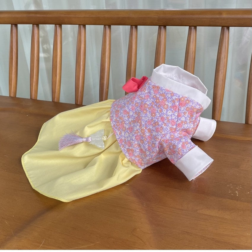 Little Lady Hanbok Dress (2 colors)