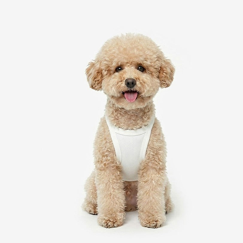 Cool Top (Ivory)