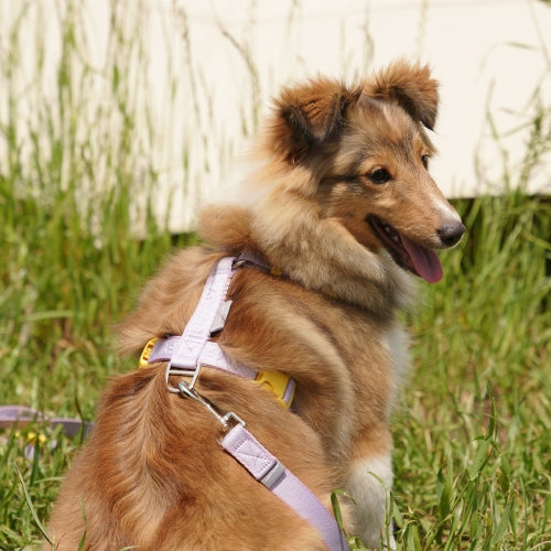 My Fluffy Fit Band Harness (4 colors)