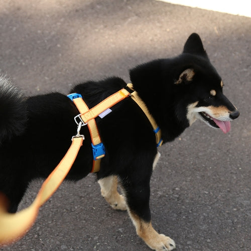 My Fluffy Fit Leash (5 colors)