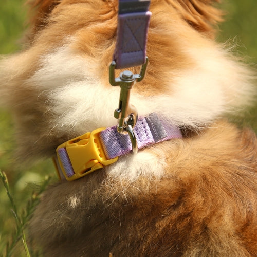 My Fluffy Fit Collar (4 colors)
