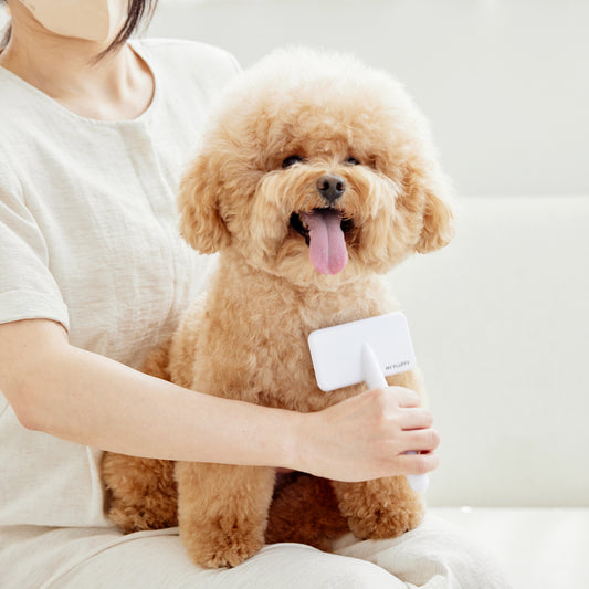 My Fluffy Slicker Brush