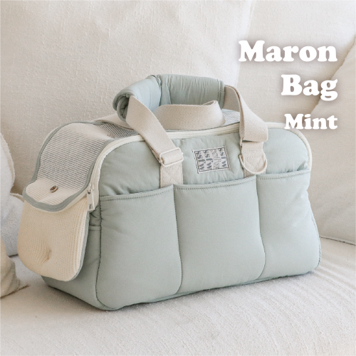 Maron Bag Pet Carrier (Mint)