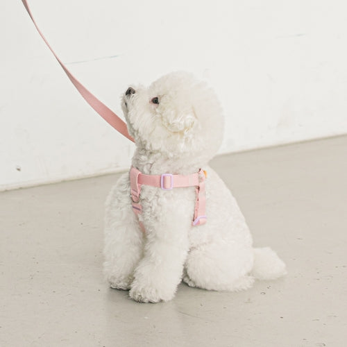 Candy Crayon Harness (6 colors)