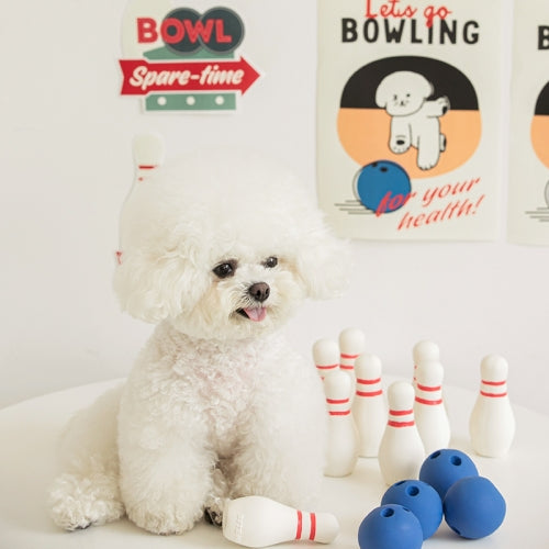 Bowling Latex Toy Set (2pcs)