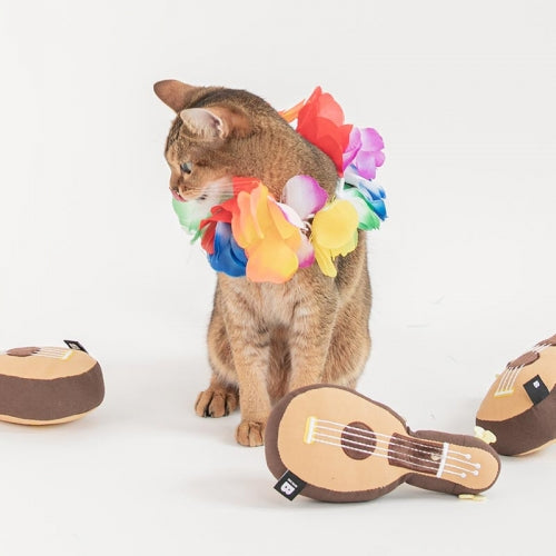 Ukulele Cat Toy