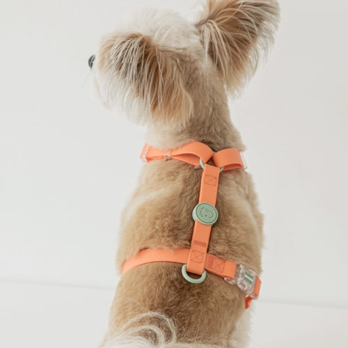 Macaron Waterproof H Harness (4 colors)