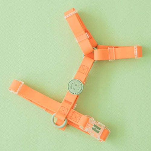 Macaron Waterproof H Harness (4 colors)