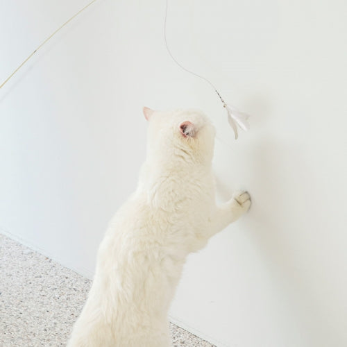 Play Long Cat Fishing Toy 2.4m