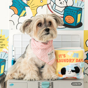 Laundry Day Nosework Playbook Toy