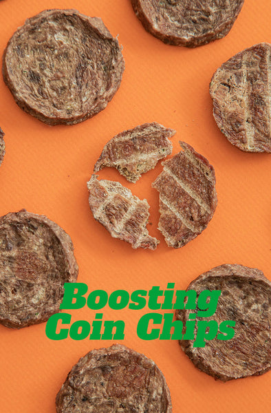 Boosting Coin Chips (Duck)