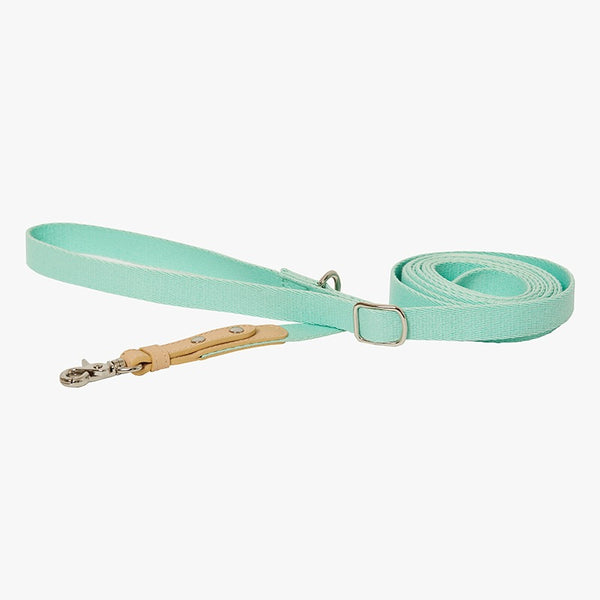 Bearbong Leash 2.8M (Hands-free)(4 colors)