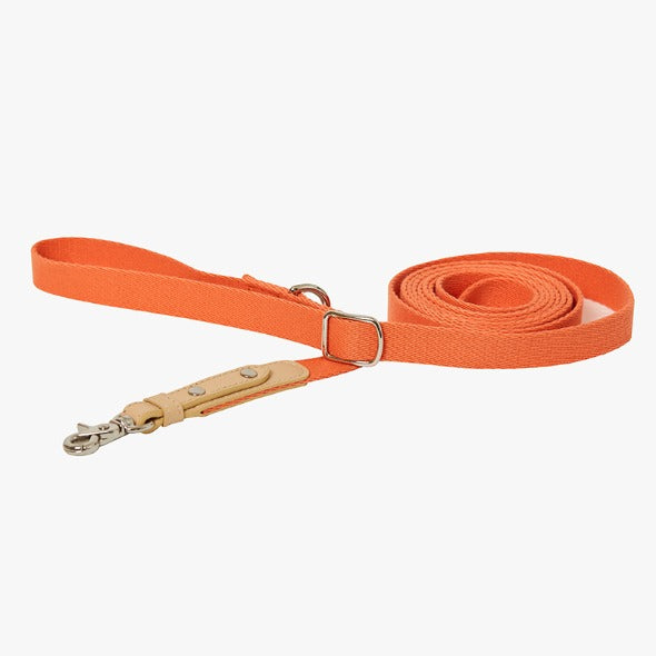Bearbong Leash 2.8M (Hands-free)(4 colors)