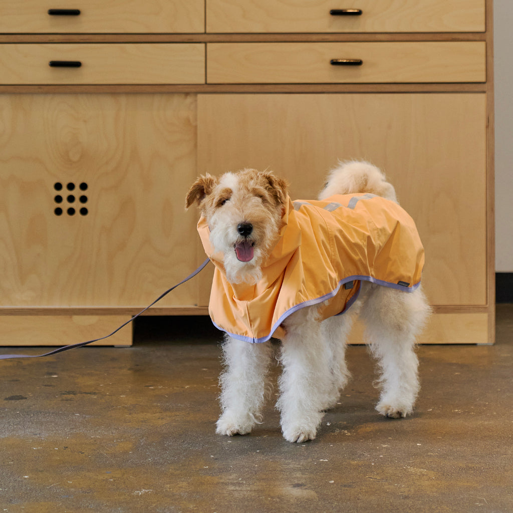 Mango rain deals jacket