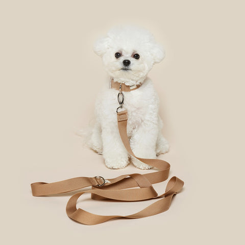 Makit Ginger Collar & Leash Set