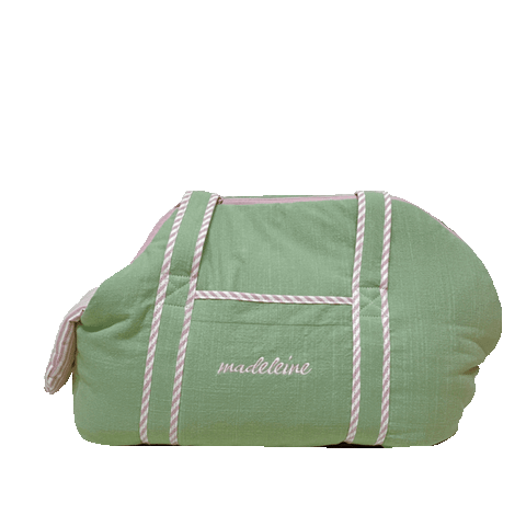 Madeleine Bag Pet Carrier (4 colors)