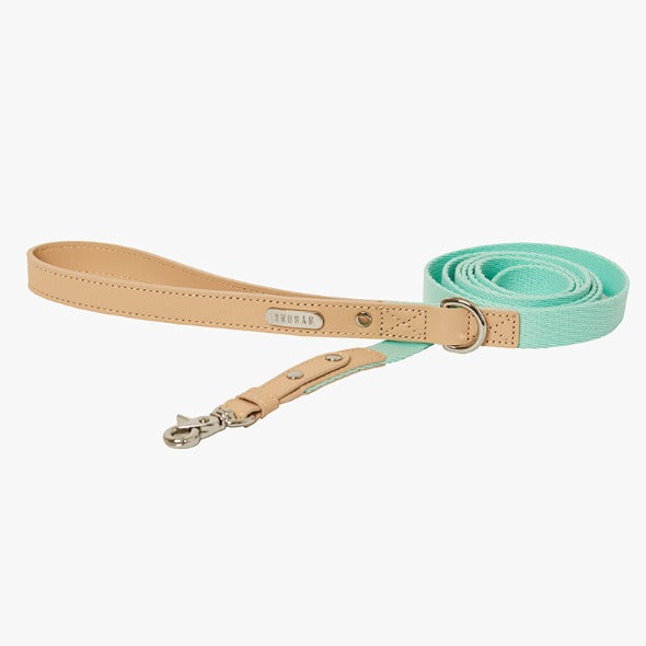 Bearbong Leash 2M (Leather Handle) (6 colors)