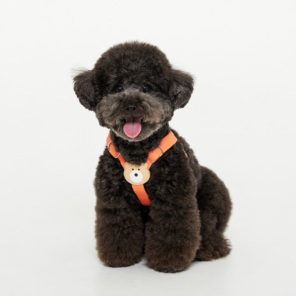 Bearbong Harness (Orange)
