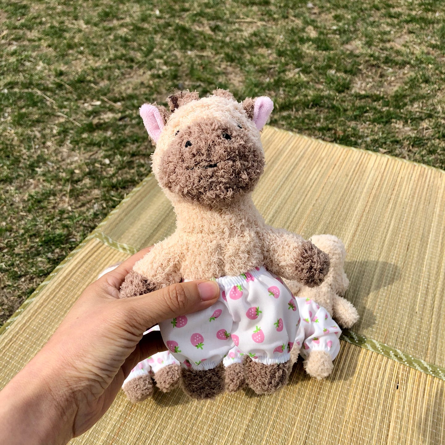 Stuffed Animal Toy
