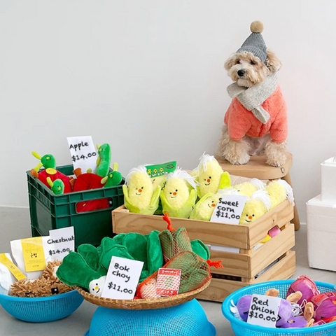 Vegetable Series Toy