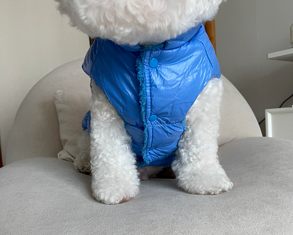 Cyber Padding Jacket