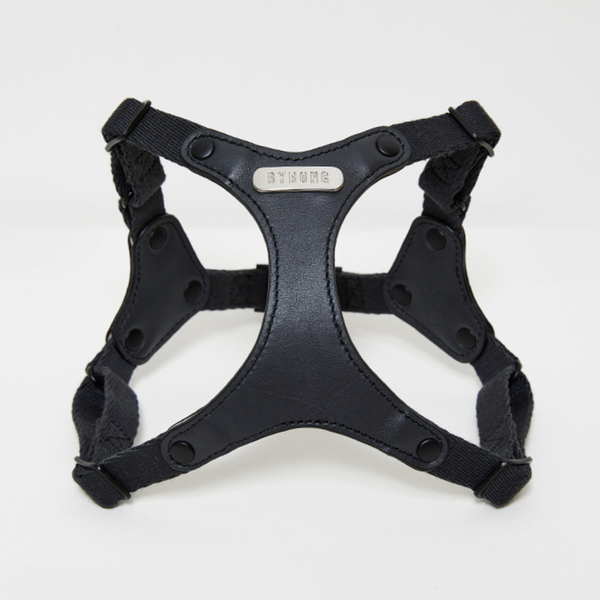 Simply Harness (Dark Gray)