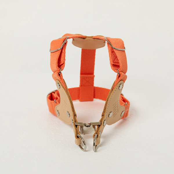 Bearbong Harness (Orange)
