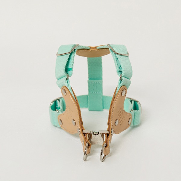 Bearbong Harness (Mint)