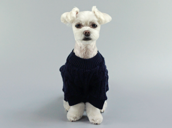 Twisted Knit (2 colors)
