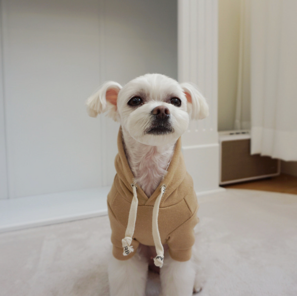 Basic Hoodie (4 colors)