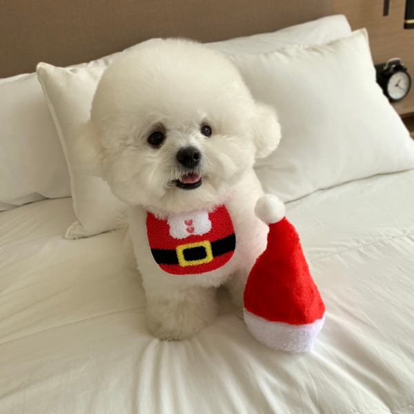 Christmas Cape Bib (6 styles)