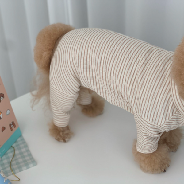 Striped Onesies (5 colors)