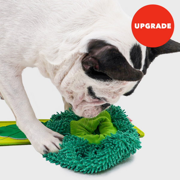 Broccoli Nosework Toy