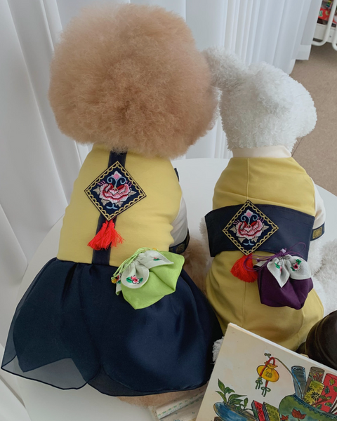 Modernized Tassel Hanbok (2 styles)