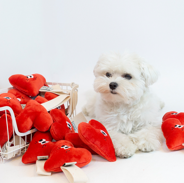 Heart Squeaky Tug Toy