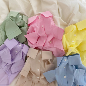 Everyday Oxford Pastel Shirts (5 colors)