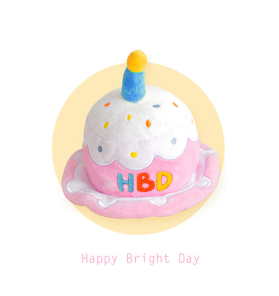 Birthday Party Hat Toy