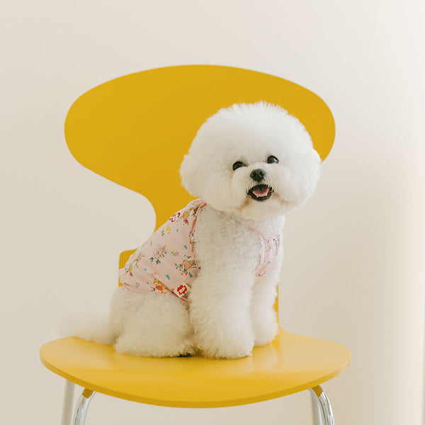 Friends of the Fairy Tale Top (Pink)