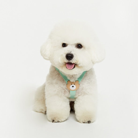 Bearbong Harness (Mint)