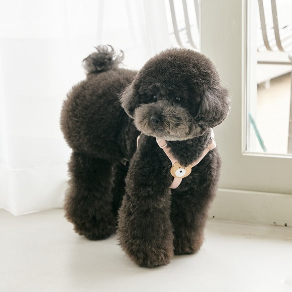 Bearbong Harness (Indi Pink)