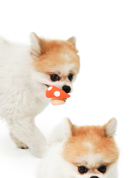 Orange Mushroom Latex Toy
