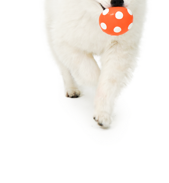 Orange Mushroom Latex Toy